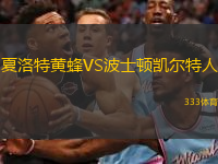  夏洛特黃蜂VS波士頓凱爾特人