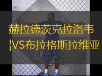  赫拉德茨克拉洛韋VS布拉格斯拉維亞