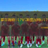  霍芬海姆U17VS斯圖加特U17